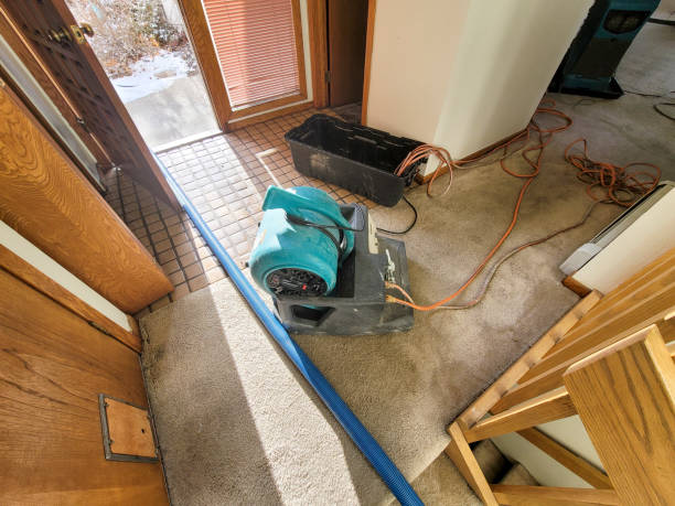Best Water damage restoration insurance claims  in San Pasqual, CA