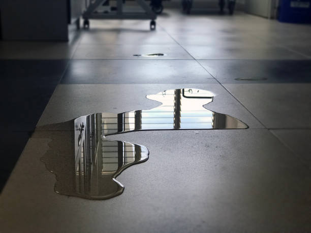 Best Water damage restoration near me  in San Pasqual, CA