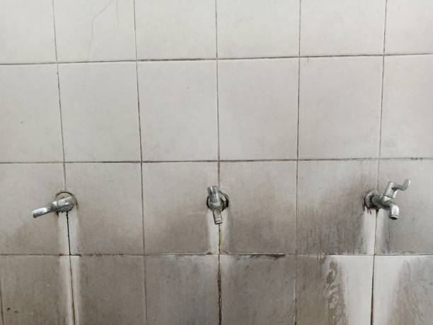 Best Sewage cleanup and water damage restoration  in San Pasqual, CA