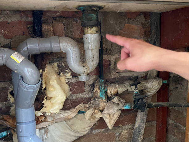 Best Water damage contractors near me  in San Pasqual, CA