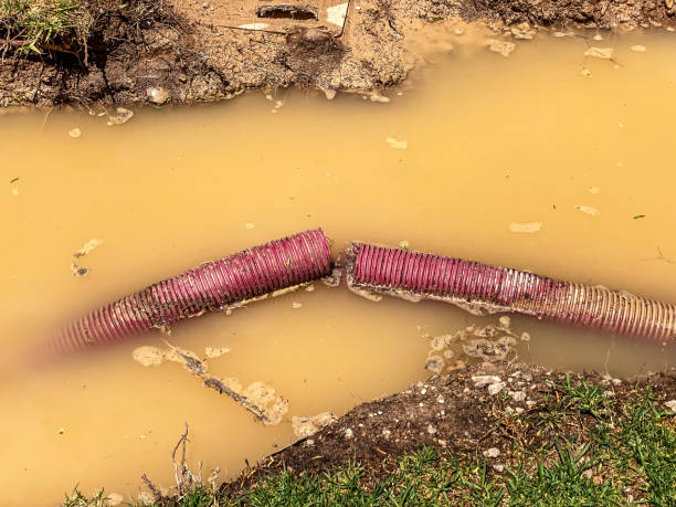 Best Water damage restoration near me  in San Pasqual, CA