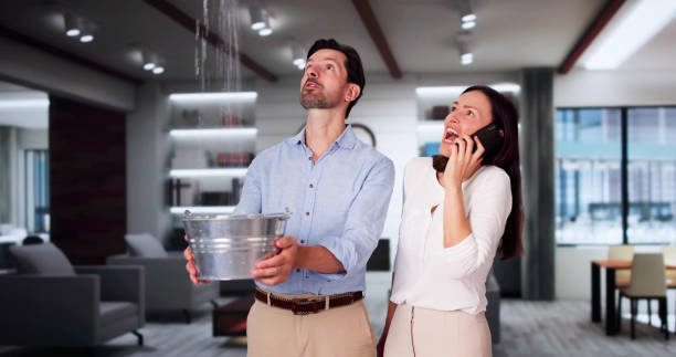 Best Ceiling water damage repair  in San Pasqual, CA